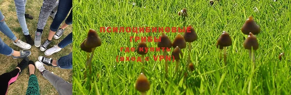 марки nbome Алексеевка