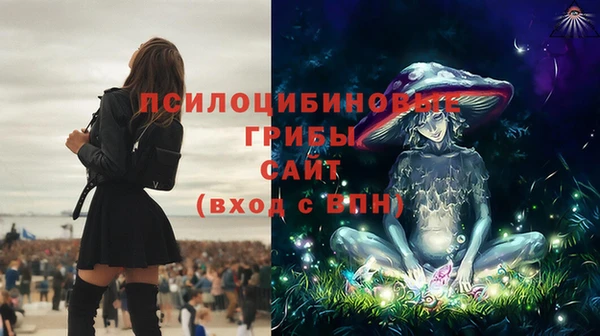 spice Абинск
