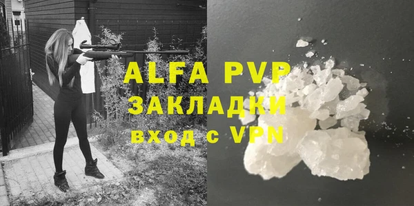 стаф Арсеньев