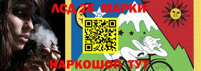 трава Кудрово