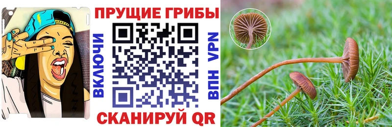 MEGA маркетплейс  Абакан  Галлюциногенные грибы мухоморы  купить  