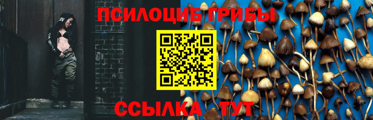 купить наркотики цена  Вход с VPN  Абакан  Галлюциногенные грибы мухоморы 