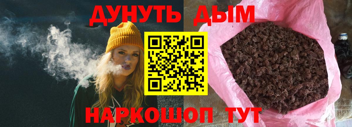Канабис сатива Абакан